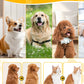 Multifunctional Pet Hair Detangling and Care Comb